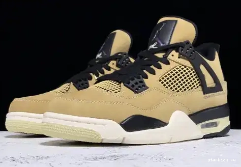 AQ9129-200 AQ9129-200 4 Air Jordan Mushroom 0508